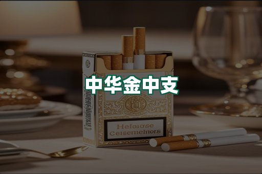 中华金中支